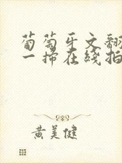 葡萄牙文翻译扫一扫在线拍照翻译器