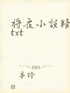 将夜小说精校版txt