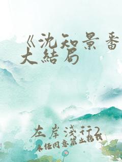 《沈知景番外》大结局