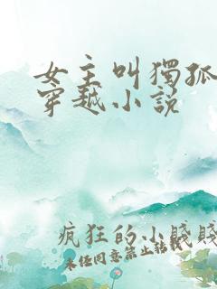 女主叫独孤月的穿越小说