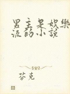 男主是娱乐圈顶流的小说