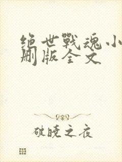 绝世战魂小说未删版全文