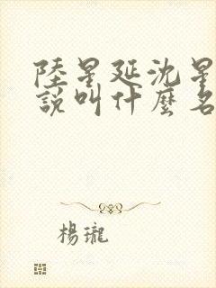 陆星延沈星若小说叫什么名字