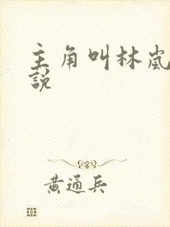 主角叫林岚的小说