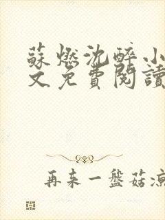 苏燃沈醉小说全文免费阅读