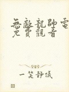 无敌龙帅电视剧免费观看