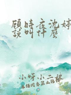顾时夜沈婷晚小说叫什么