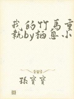 我的竹马重度偏执by栖息小说