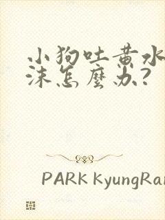 小狗吐黄水吐泡沫怎么办?