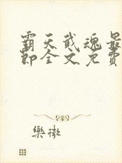 霸天武魂最新章节全文免费阅读