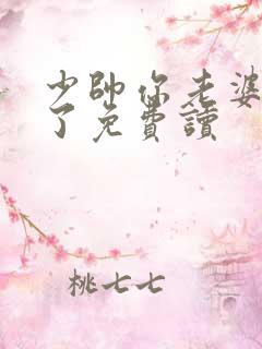 少帅你老婆又跑了免费读