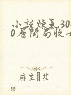 小说炼气3000层开局收女帝为徒哪可以找到