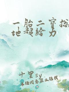 一胎二宝总裁爹地超给力