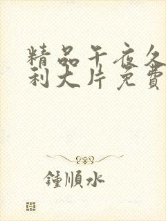 精品午夜久久福利大片免费