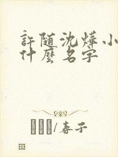 许随沈烨小说叫什么名字