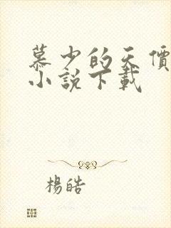 慕少的天价宠妻小说下载