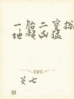 一胎二宝总裁爹地超凶猛