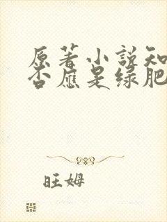 原著小说知否知否应是绿肥红瘦