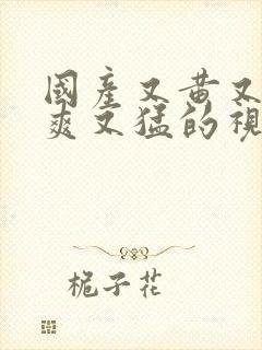 国产又黄又色又爽又猛的视频