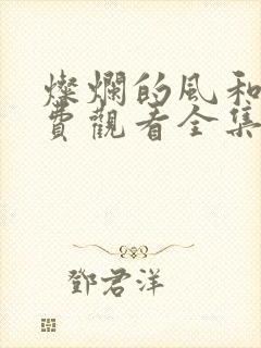 灿烂的风和海免费观看全集