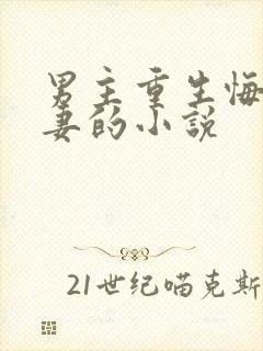 男主重生悔恨追妻的小说