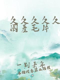 久久久久久精品国产毛片