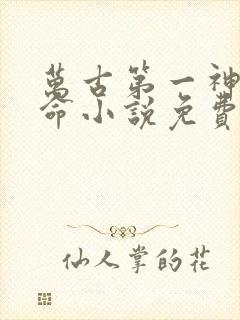 万古第一神李天命小说免费阅读