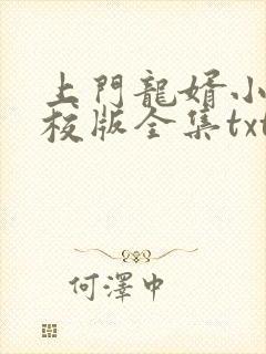 上门龙婿小说精校版全集txt
