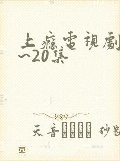 上瘾电视剧16~20集