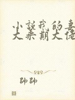 小说我的妻子是大乘期大佬