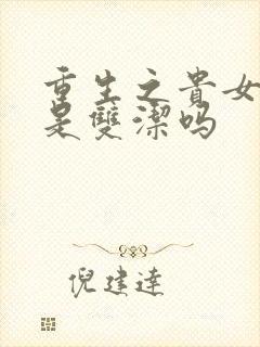 重生之贵女难求是双洁吗