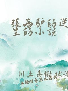 张两驴的逆袭人生的小说