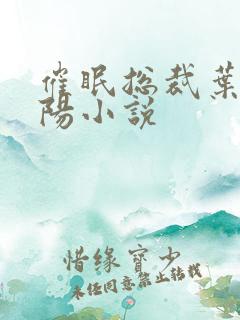 催眠总裁叶宸欧阳小说