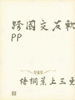 跨国交友软件app