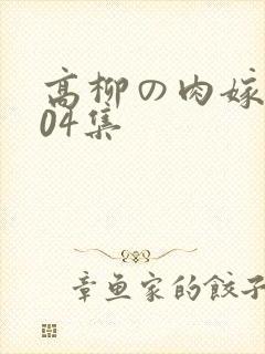 高柳の肉嫁动漫04集