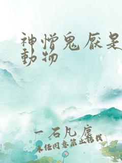 神憎鬼厌是什么动物