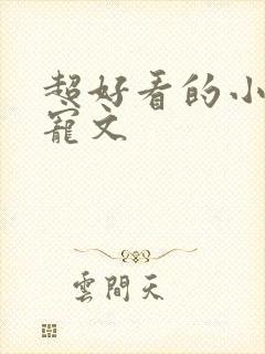 超好看的小说甜宠文