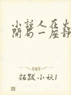 小说人在火影,开局一座静灵庭