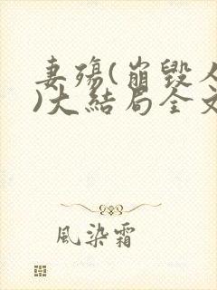 妻殇(崩毁人生)大结局全文阅读