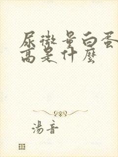 尿微量白蛋白偏高是什么