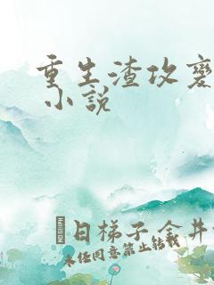 重生渣攻变渣受 小说