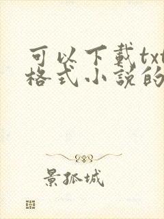 可以下载txt格式小说的网站