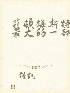 莉顿梅斯特牺牲最大的一部电影