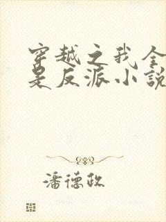 穿越之我全家都是反派小说