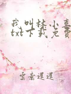 我叫林小喜小说txt下载免费