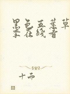 黑色五叶草第二季在线看