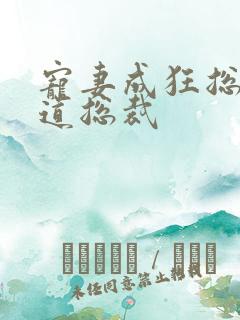 宠妻成狂总裁霸道总裁