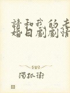 请和我的老公结婚日剧剧情