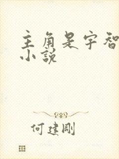 主角是宇智波的小说