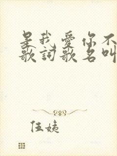 是我爱你不够多歌词歌名叫什么
